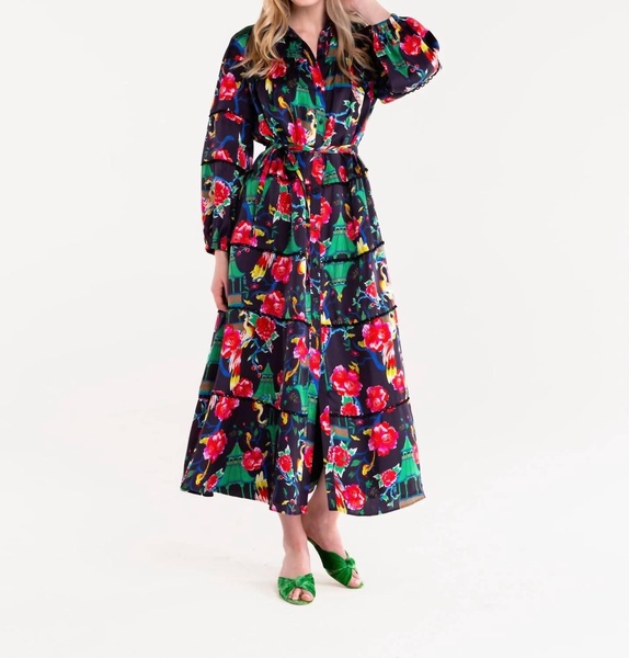 renee maxi dress in multi-color