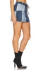 x REVOLVE Benji Skirt
