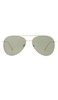 Alpha Sunglasses
