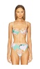 Shamrock Jupiter Bikini Top