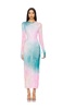 Robin Mirage Dress