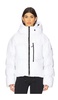 Short Puffer