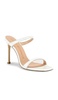 Aleena Mule