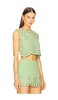 Tavy Top