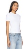 Crop T Shirt