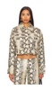 Xaavier Jacket