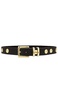 Sphinx Moto Belt