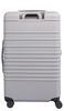 The Medium Check-In Roller in Gray