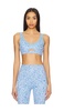 Moxie Top