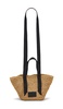 Celayne Mini Tote