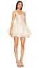 Tiara Dress