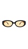 Affinity Sunglasses