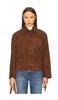 Wren Jacket
