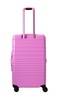 Medium Check-in Roller
