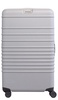 The Medium Check-In Roller in Gray