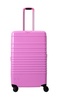 Medium Check-in Roller