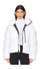 Short Puffer
