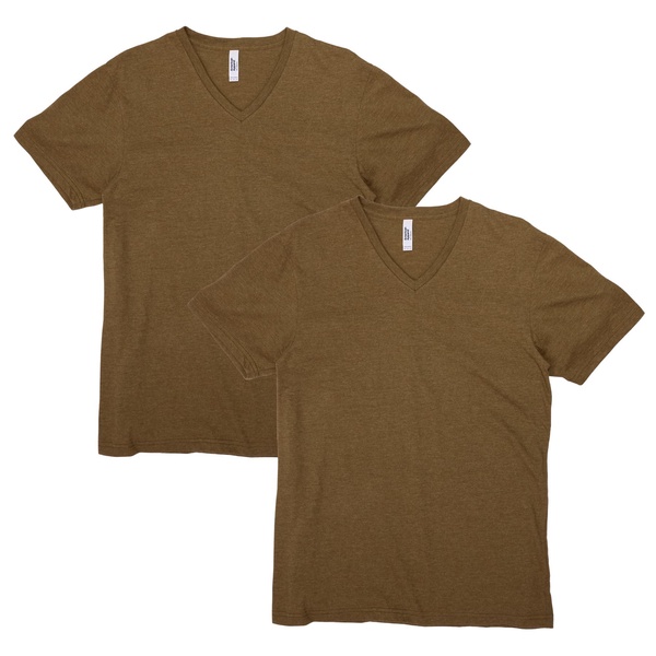 American Apparel Unisex CVC V-Neck T-Shirt, Style G2006CVC, 2-Pack