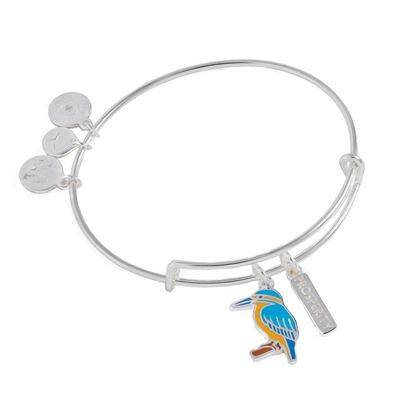 Alex and Ani Prosperity Kingfisher Duo Charm EWB
