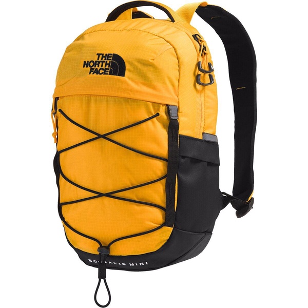 Borealis Mini 10L Backpack