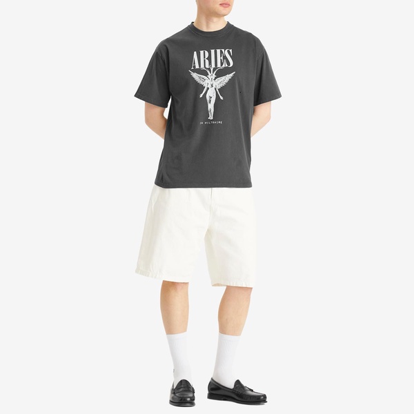 Aries Destroyed Nirvana T-Shirt