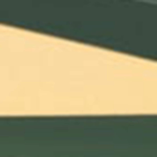 Acetate BV1276S Sunglasses