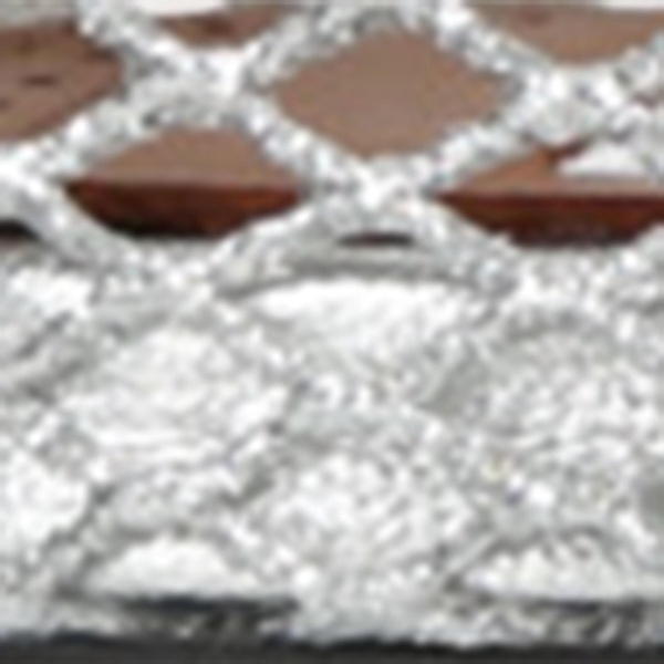 Metallic Net Mary Jane Ballerina Flats