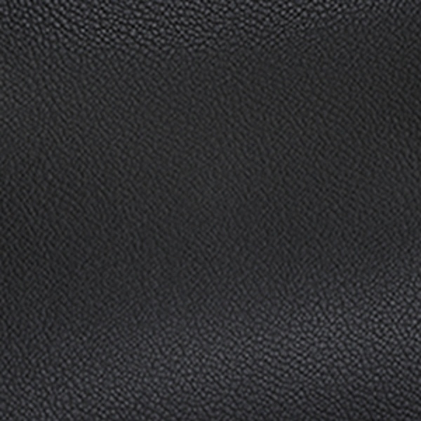 Leather Le Teckel Tote Bag