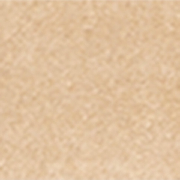 Suede Double-Buckle Belt