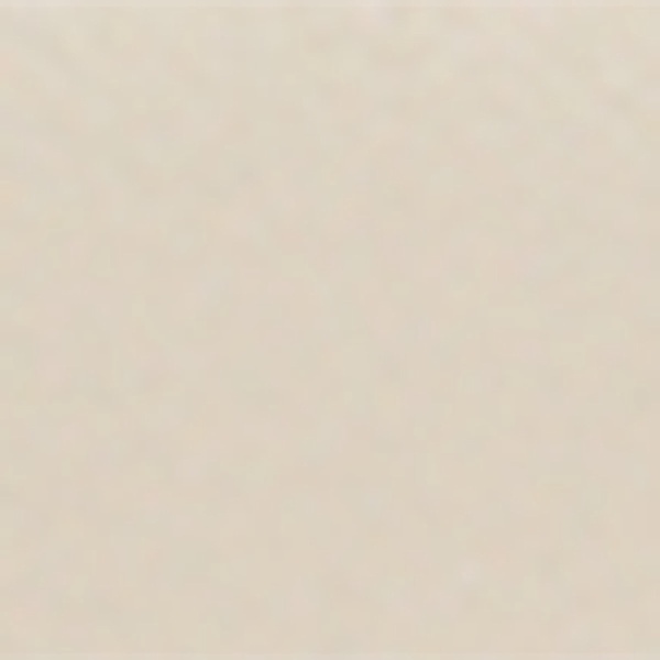 Logo Dune Slides
