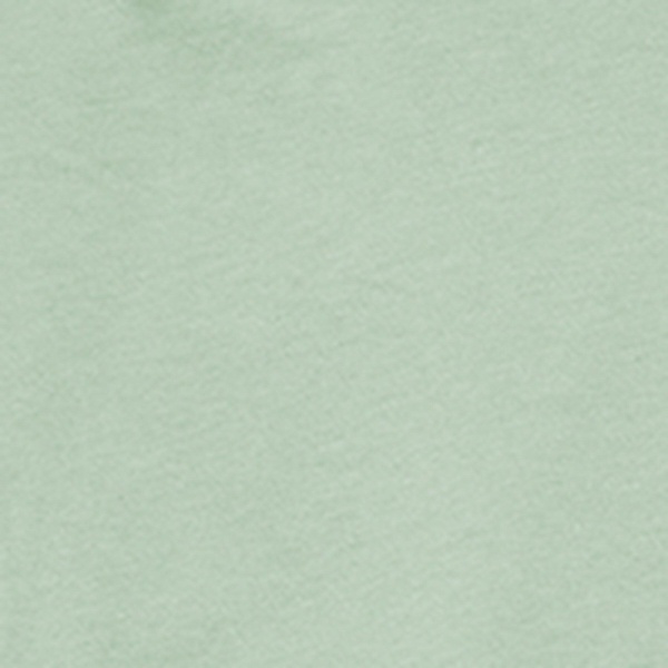 Diy Imprint Cropped T-shirt in Sage Green