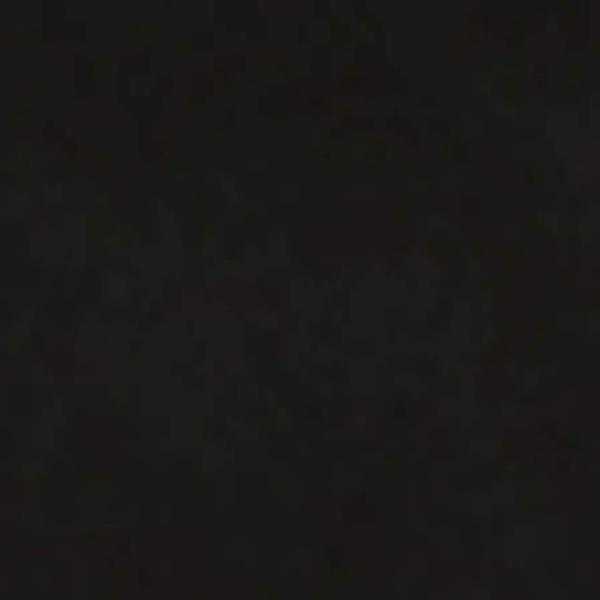 Suede Lexington Knee-High Boots