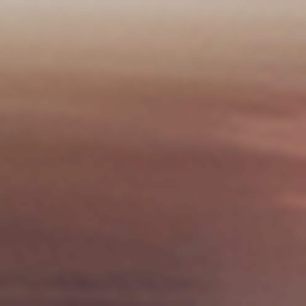 Cat-Eye Sunglasses
