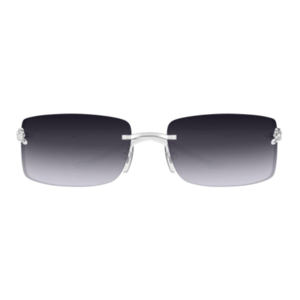 Ct0503s-002 Silver-silver-grey