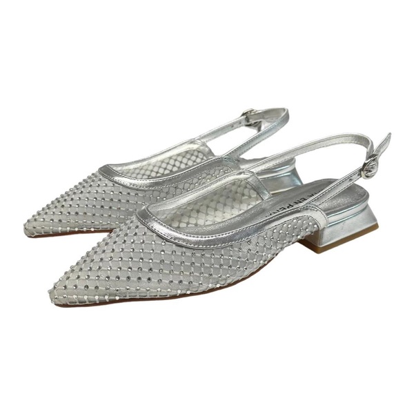 Silver Ballet Flats with Strap