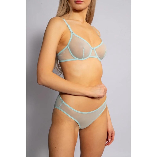 Transparent briefs