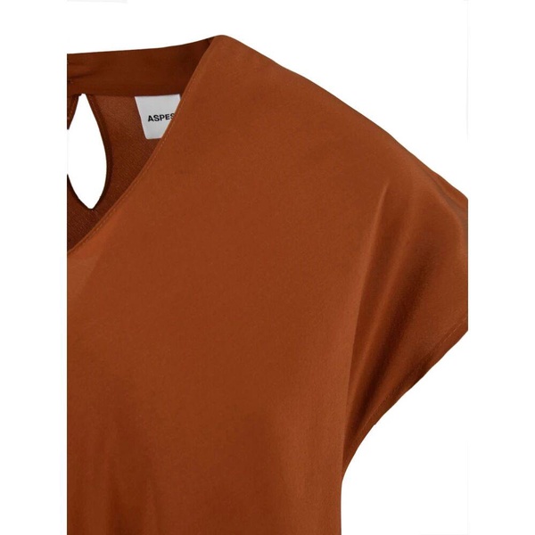 Rust Dress