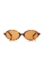 Regard Oval-Frame Acetate Sunglasses