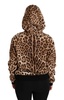 Dolce & Gabbana  Brown Hooded Studded Ayers Leopard Sweater