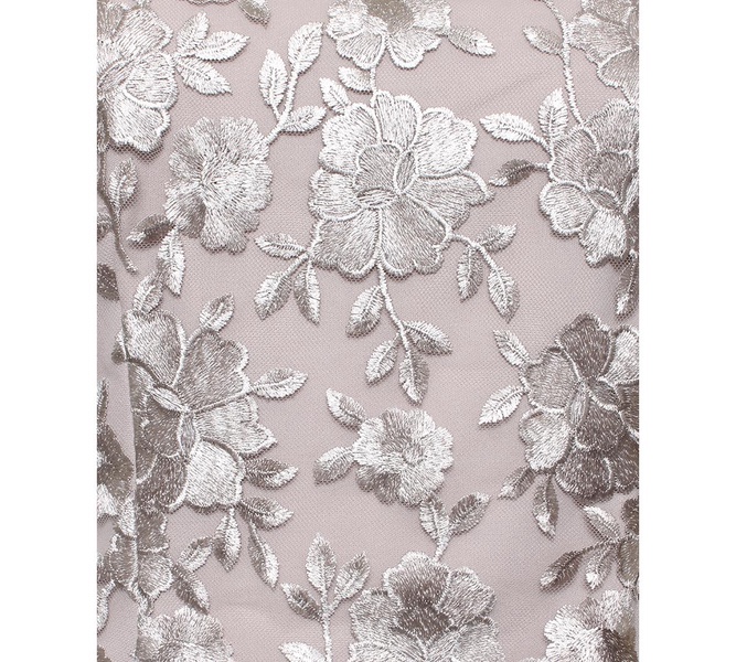 Women's Embroidered Cap-Sleeve Tulle Gown