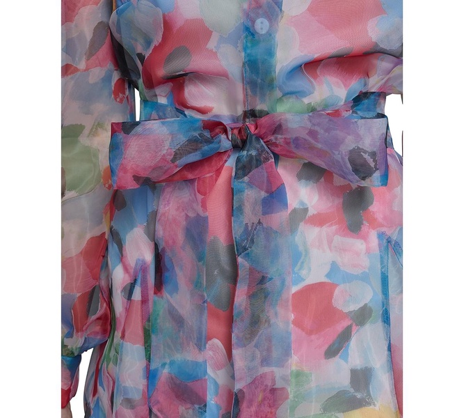 Women's Printed Organza Tie-Waist Dress