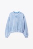 Puff Print Terry Sweatshirt