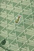 Lacoste Polo with logo patch