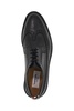 Stringate Longwing Brogue
