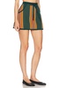 Parakeet Stripe Skirt