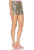 Printed Mini Skirt