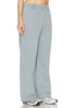 Elliot Pant