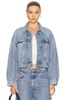 Palmer Jacket