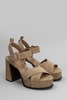 Melany Sandals In Beige Suede