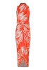 cultivo midi dress in orange brooch print